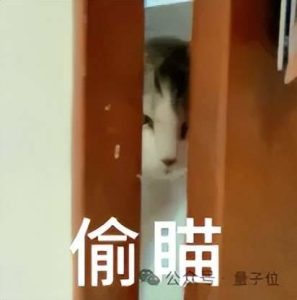 黄仁勋说的Physical AI，被这家中国跨界选手带进了生命科学实验室